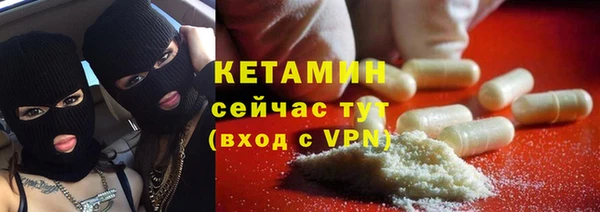 стаф Аркадак