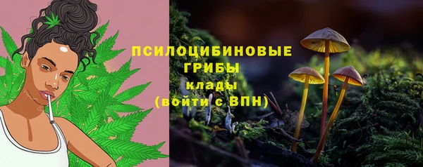 стаф Аркадак