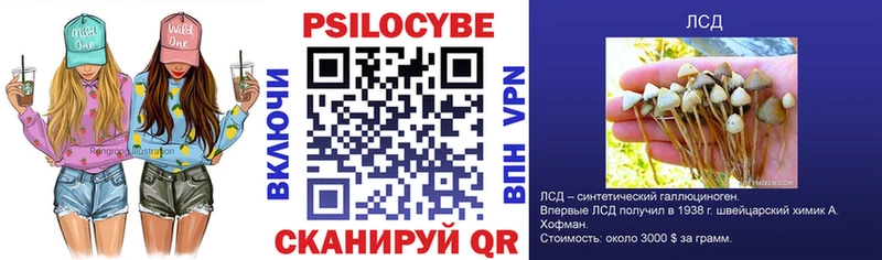 Купить  Волгореченск  Галлюциногенные грибы Magic Shrooms 